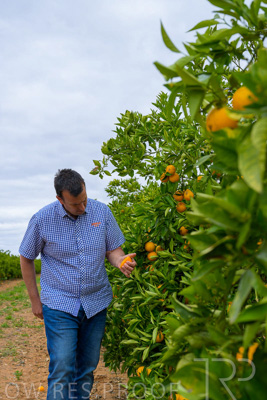 November 2022 / Nippys_150