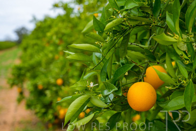 November 2022 / Nippys_152