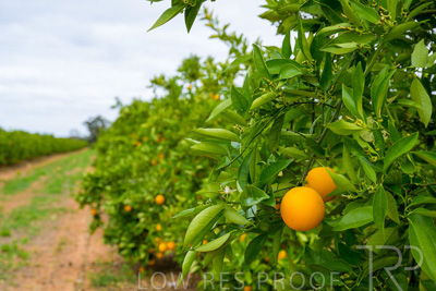 November 2022 / Nippys_153