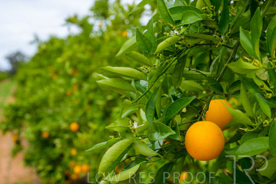 November 2022 / Nippys_154