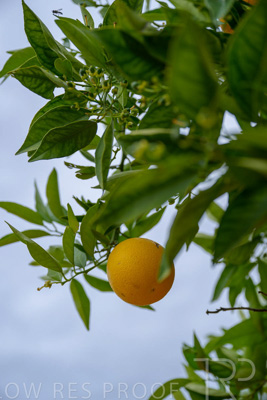 November 2022 / Nippys_157