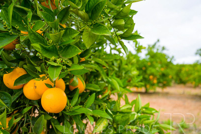 November 2022 / Nippys_158