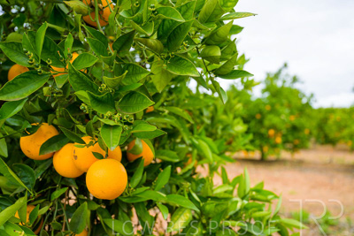 November 2022 / Nippys_159