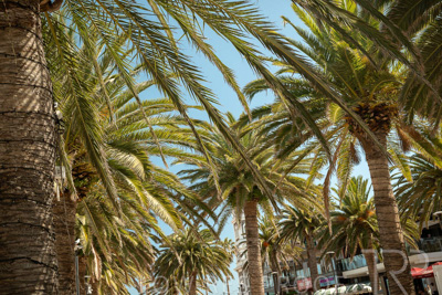 September 2023 / Danielle-DOMALDSON-RD-Jones-Grp-230911_040