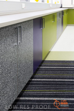 May 2014 / BIC_USC_BIOLOGY_009_140527