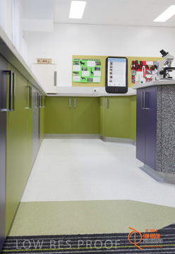 May 2014 / BIC_USC_BIOLOGY_013_140527