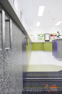 May 2014 / BIC_USC_BIOLOGY_014_140527