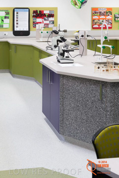 May 2014 / BIC_USC_BIOLOGY_015_140527