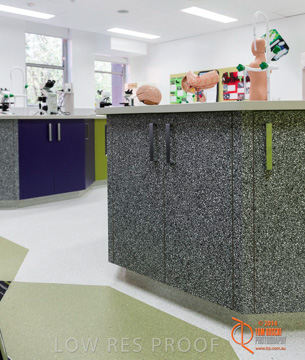 May 2014 / BIC_USC_BIOLOGY_042_140527