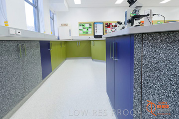 May 2014 / BIC_USC_BIOLOGY_085_140527