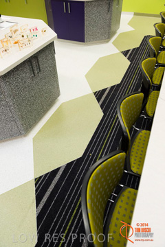 May 2014 / BIC_USC_BIOLOGY_019_140527