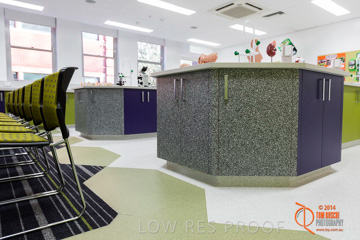 May 2014 / BIC_USC_BIOLOGY_039_140527