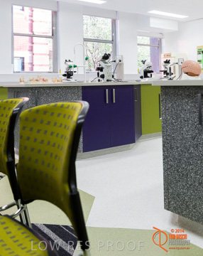 May 2014 / BIC_USC_BIOLOGY_041_140527