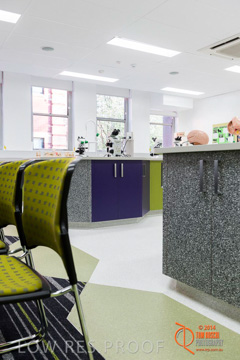 May 2014 / BIC_USC_BIOLOGY_043_140527