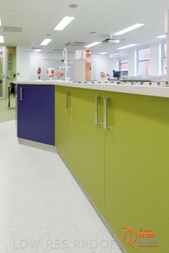 May 2014 / BIC_USC_BIOLOGY_080_140527