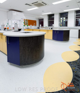 May 2014 / BIC_USC_CHEMESTRY_103_140527