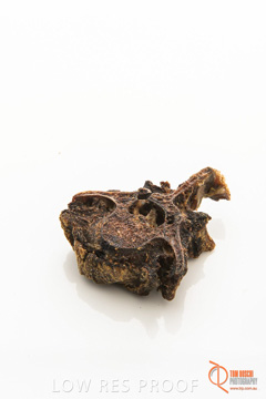 April 2016 / BACKBONE_09_160414