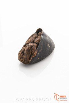 April 2016 / BEEF-FILLED_HOOFS_09_160414