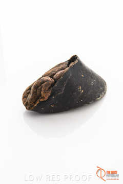 April 2016 / BEEF-FILLED_HOOFS_10_160414