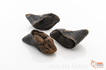 April 2016 / BEEF-FILLED_HOOFS_11_160414