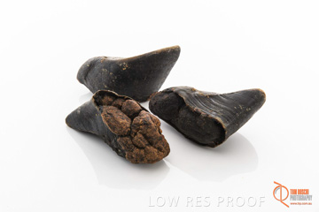 April 2016 / BEEF-FILLED_HOOFS_12_160414