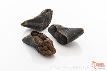 April 2016 / BEEF-FILLED_HOOFS_13_160414