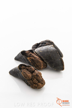 April 2016 / BEEF-FILLED_HOOFS_16_160414