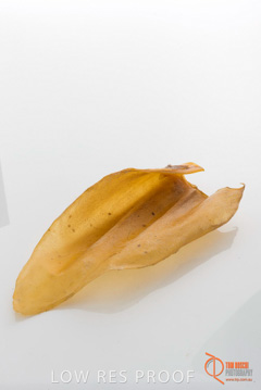 April 2016 / BEEFS_EARS_08_160414