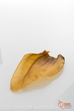 April 2016 / BEEFS_EARS_09_160414