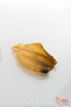 April 2016 / BEEFS_EARS_10_160414