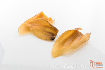 April 2016 / BEEFS_EARS_11_160414