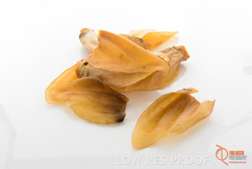 April 2016 / BEEFS_EARS_13_160414