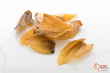 April 2016 / BEEFS_EARS_14_160414