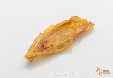 April 2016 / FISH_06_160414