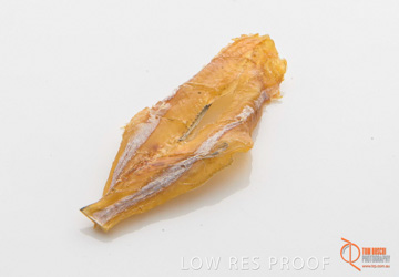 April 2016 / FISH_07_160414