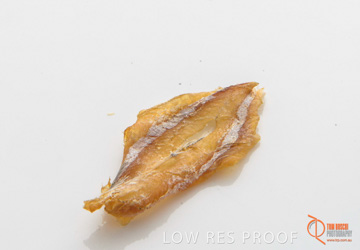 April 2016 / FISH_08_160414