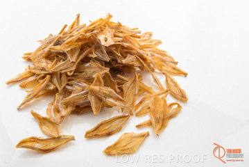 April 2016 / FISH_13_160414