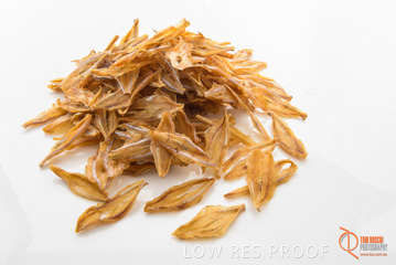 April 2016 / FISH_14_160414