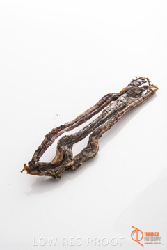 April 2016 / GOAT_TENDONS_08_160414