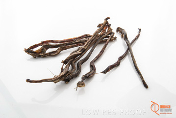 April 2016 / GOAT_TENDONS_12_160414