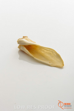 April 2016 / LAMBS-EARS_08_160414