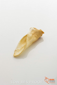 April 2016 / LAMBS-EARS_09_160414