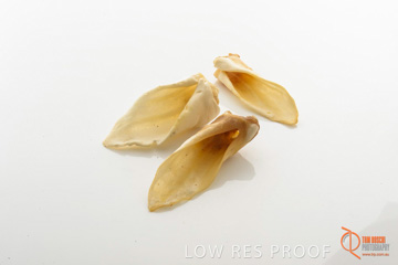 April 2016 / LAMBS-EARS_12_160414