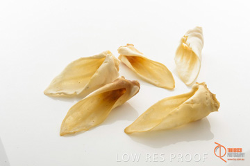 April 2016 / LAMBS-EARS_14_160414