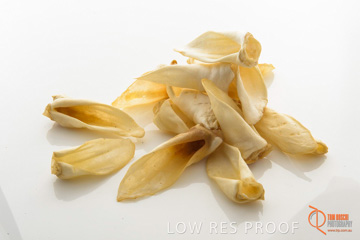 April 2016 / LAMBS-EARS_15_160414