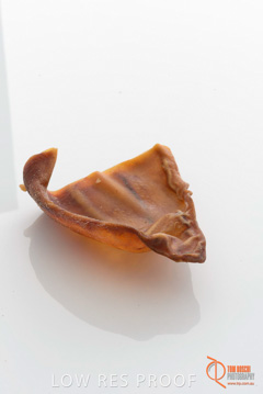 April 2016 / PIGS-EARS_09_160414