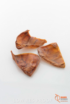 April 2016 / PIGS-EARS_11_160414