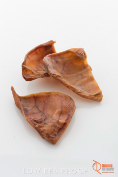 April 2016 / PIGS-EARS_12_160414