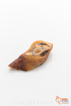 April 2016 / PORKFEET_11_160414