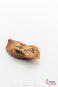 April 2016 / PORKFEET_12_160414